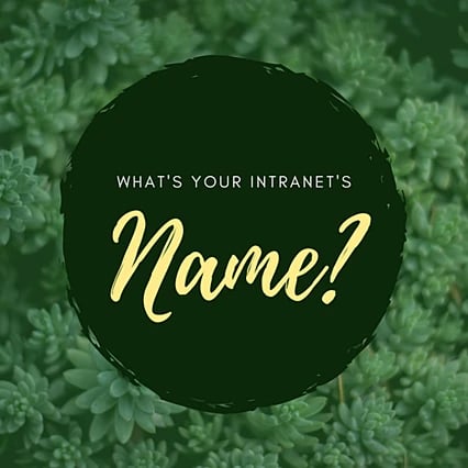 intranet-name