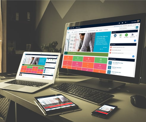 intranet-portal-multiscreens.jpg