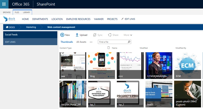 sharepoint_intranet_portal_marketing_portal_branding_2